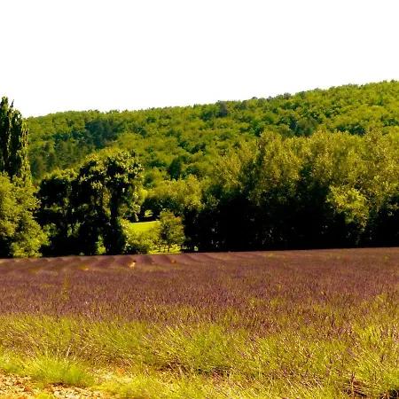 La Fontaine De Rocoule